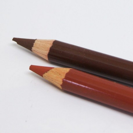 Lápices en Tonos Tierra y Blanco